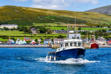 Boat tour leaving Dingle harbour for Fungie Dolphin watching clipart