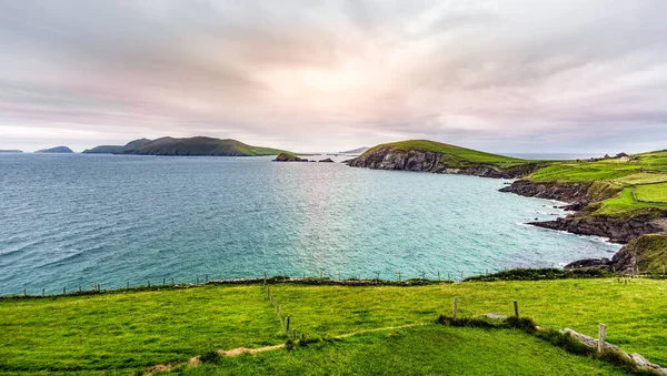 Panoramic view from Slea Head Viewing Point on Blasket Islands and Dingle Peninsula — Stock Photo, Image