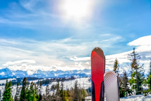 Para nart z rozmytym widokiem na las i zaśnieżone Tatry zimą — Zdjęcie stockowe