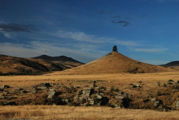 One tree hill with with yellow grass and other hills around during a summer day near Otago Central Rail Trail in Middlemarch, South Island New Zealand.