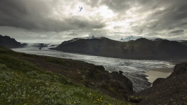 Skaftafellsjokull Gletsjer Tong Gletsjermeer Met Bloemen Gras Voorgrond Bergen Achtergrond — Stockfoto