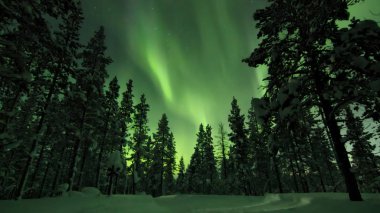 Renkli aurora borealis ağaçları ve orman Kış Kuzey Lapland Finland gidiyorum kar arabası parça yukarıda.