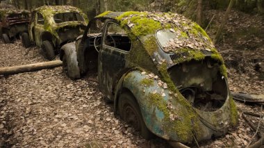 Bir satır moss ve sonbahar kıdemli otomobillerin scrapyard İsveç orman içinde bırakır. Bastnas.