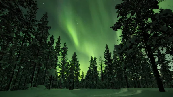 Aurore Boréale Colorée Dessus Des Arbres Piste Motoneige Traversant Forêt — Photo