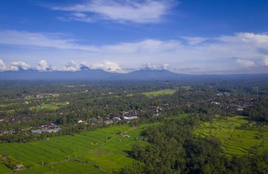 Güzel pirinç teraslar üzerinde uçan uçak. Ubud, Endonezya. 