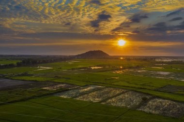 Pirinç tarlaları ve nehir üzerinde gökyüzünde gün batımı hava drone shot 