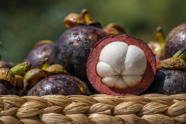 Sepet içinde taze olgun mangosteens. Asya meyve - mor mangosteen veya garcinia mangostana. 