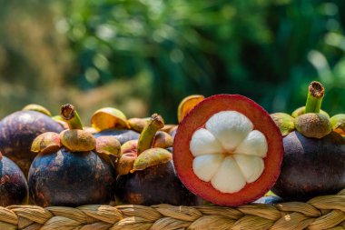 Sepet içinde taze olgun mangosteens. Asya meyve - mor mangosteen veya garcinia mangostana. 