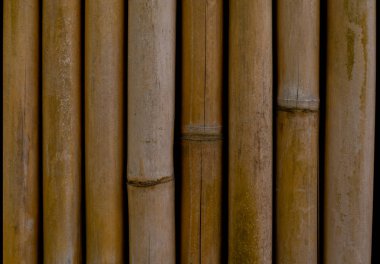 Yakın çekim bambu arka plan dokusu 