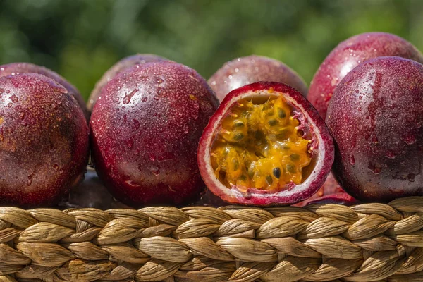 Frutos Paixão Cesto Fruta Exótica Maracuja Maracujá Cesta Piquenique — Fotografia de Stock