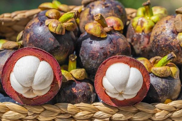 Sepet içinde taze olgun mangosteens. Asya meyve - mor mangosteen veya garcinia mangostana. 
