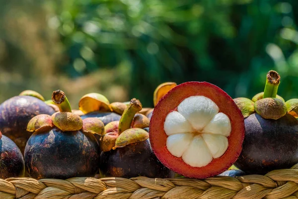 Mangostanes Frescos Maduros Cesta Fruta Asiática Mangostán Púrpura Garcinia Mangostana — Foto de Stock