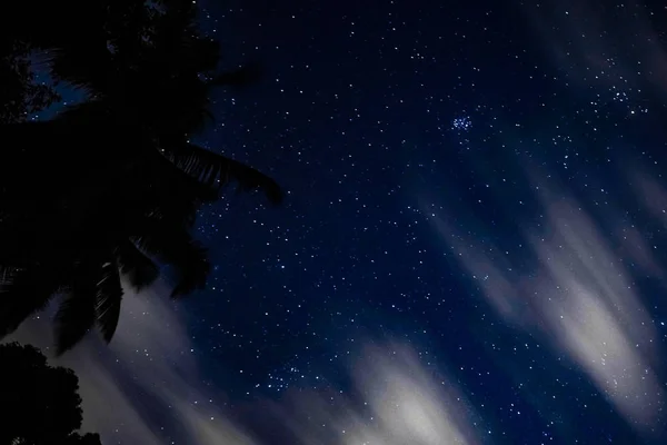 Noční Obloha Palmou — Stock fotografie