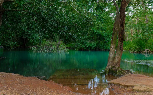 Iaz Turcoaz Pădurea Tropicală Ziua Însorită — Fotografie, imagine de stoc