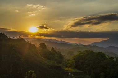 Dağlarda güneş aydınlatıcı tropikal orman ayarı 