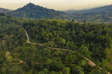 Dağ tepeleri taze yeşil orman yamacının havadan üst görünümü