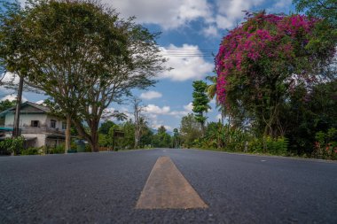 Doğal asfalt yol görünümünü iki ağaç kırsal Tayland manzara seyahat arka plan, Nakhon Si Thammarat, Thailand 