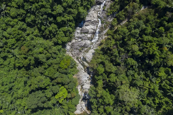 Top view of flowing river in tropical jungle forest