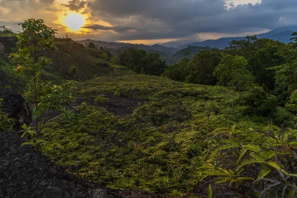 Coucher Soleil Éclairant Forêt Tropicale Dans Les Montagnes — Photo