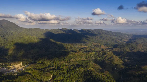 Aerial top view of fresh green jungle forest slope of the mountain hills