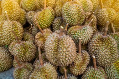 Durian meyve arka plan. Pis kokulu meyve - durian.