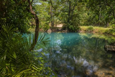 Yağmur ormanlarında turkuaz gölet manzaralı görünüm 