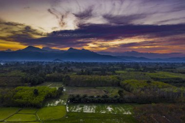 Pirinç tarlaları bulutlu gün batımında Tay kırsal manzara 