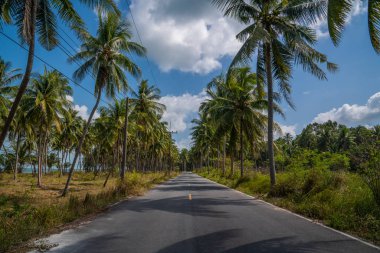Bulutlu mavi gökyüzü manzara ile kıyı boyunca palmiye ormanı ile pürüzsüz ve ince asfalt yol, seyahat konsepti