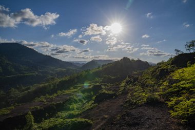 Dağlarda güneş aydınlatıcı tropikal orman ayarı