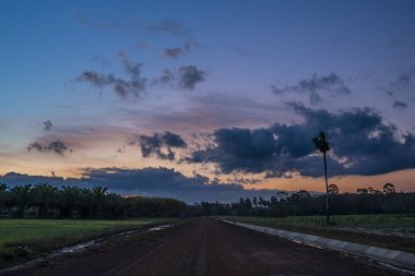 Gün batımında palmiye ormanları ve pirinç tarlaları ile kırsal kir yol