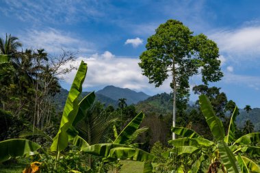 Güney Tayland'da Kayalık dağlar