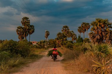Kamboçya toprak yolda bisikletköylü