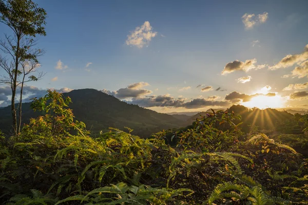 Coucher Soleil Éclairant Forêt Tropicale Dans Les Montagnes — Photo