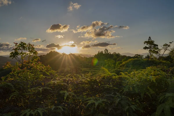 Coucher Soleil Éclairant Forêt Tropicale Dans Les Montagnes — Photo