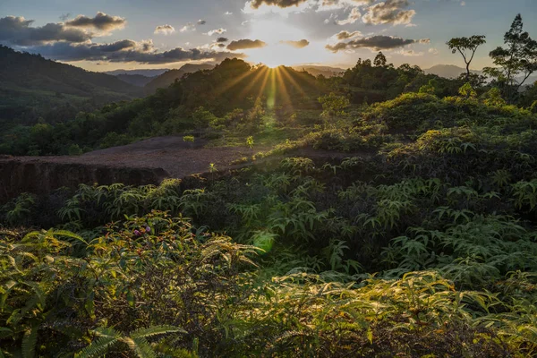 Coucher Soleil Éclairant Forêt Tropicale Dans Les Montagnes — Photo