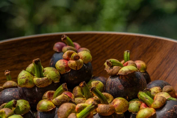 Mangostões Inteiros Tigela Madeira Contra Fundo Bokeh Verde — Fotografia de Stock