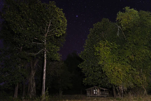Samotna Chata Lesie Nocą Laosie — Zdjęcie stockowe