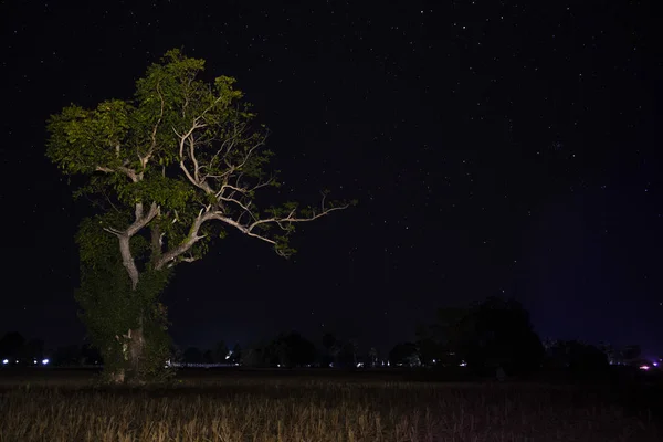 Noční Krajina Osamělým Stromem Hřišti — Stock fotografie