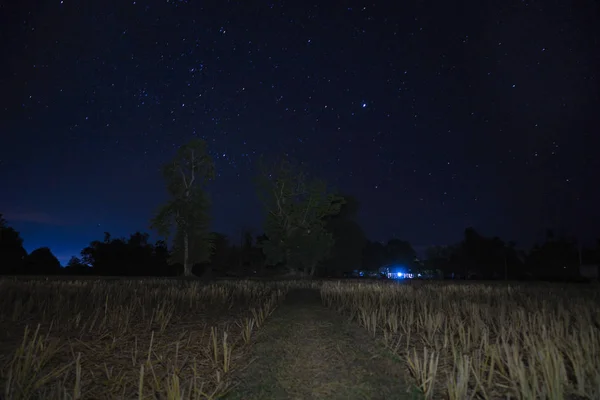 Paisagem Noturna Mística Campo — Fotografia de Stock