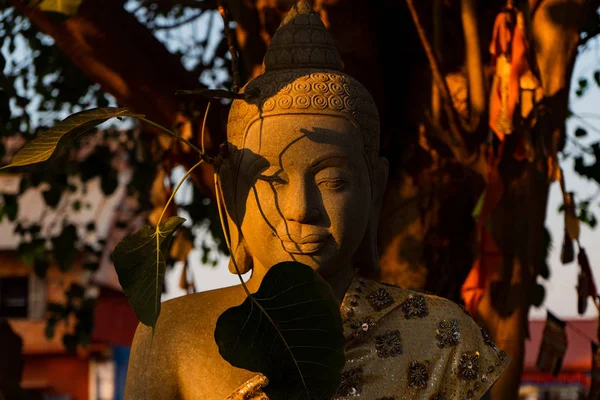 Buddha Staty Trädet Bakgrunden — Stockfoto