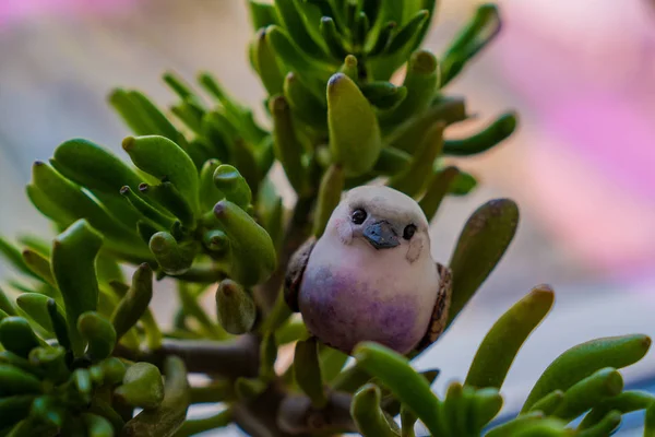 一个可爱的小小鸟雕像在多汁的室内植物背景 — 图库照片