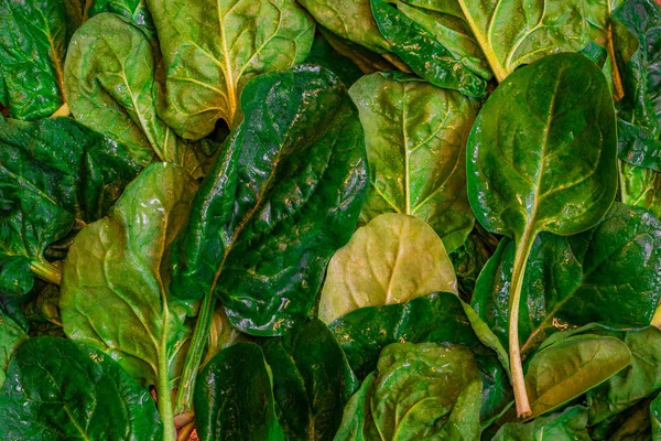 Green Leaves Spinach Macro Texture — Stock Photo, Image