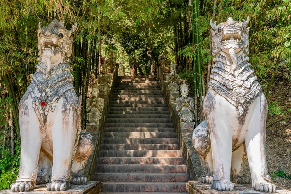 Beyaz Aslan Heykelleri Bambu Ormanlarındaki Basamaklar Tayland Tapınağı Bahçesi Kültürü — Stok fotoğraf