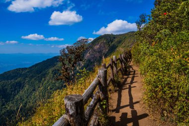 Doi Inthanon Ulusal Parkı'nda doğal yüksek irtifa yürüyüş parkuru, Chiang Mai, Tayland 