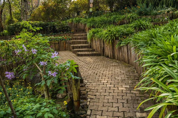 Idyllic Garden Doi Tung Mountain Chiang Rai Province Thailand — Stock Photo, Image