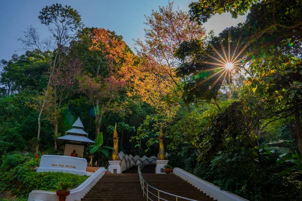 Phra Doi Tung Thai Buddhist Temple Entrance Gates Chiang Rai — Foto de Stock