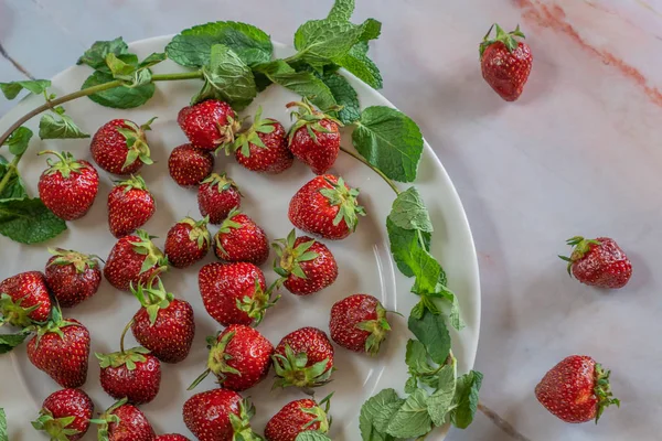 Red Ripe Strawberries Mint Leaves White Plate — Stock Photo, Image