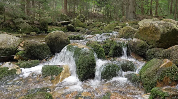 Flowing water in a mountain river. Nature landscape. — Stock Photo, Image