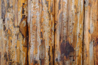 Eski tahta arka plan