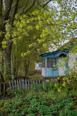 Yağmur sırasında güzel kırsal manzara